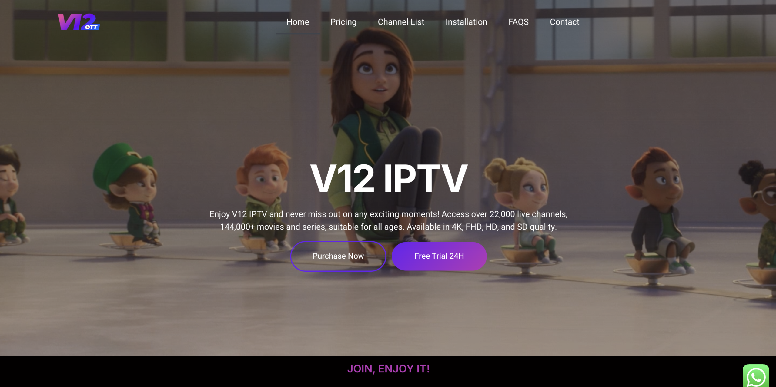 v12 iptv provider website